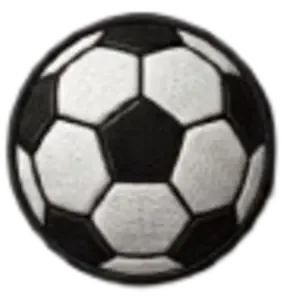 Sports Teams