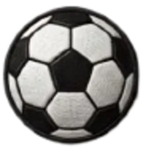Sports Teams
